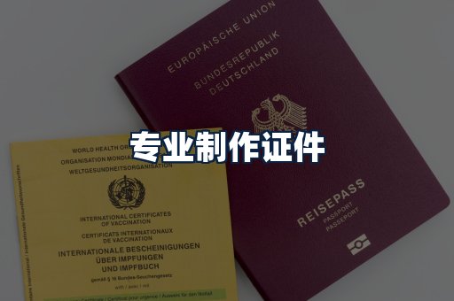 专业制作证件